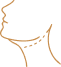 Deep Neck